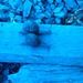 Profile Picture of David Bezayiff (@davidbezayiff) on Pinterest