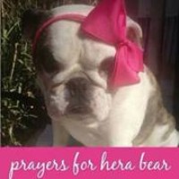 Profile Picture of Nancy Bell (@nancy-bell-4) on Quora