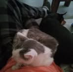 Kevin Tribby - Facebook Profile Picture of Kevin Tribby (@Kevin-Tribby) on Facebook