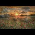 Profile Picture of Ian Tracey (@tracey_ian) on Instagram