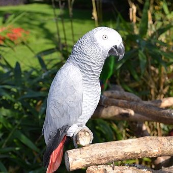 Profile Picture of Sonia De Ville (@soniadeville1) on Twitter