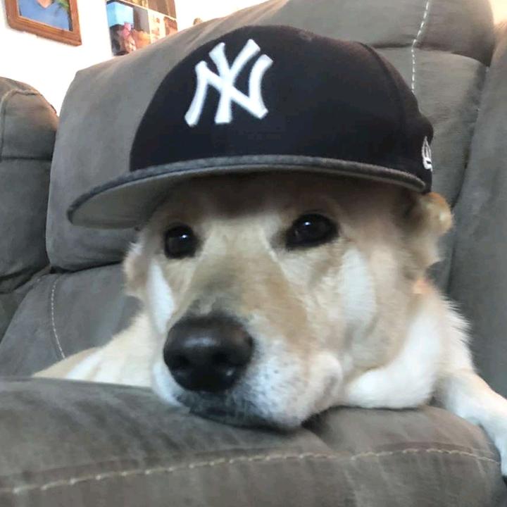 Profile Picture of ALEX OLSON (@short_stack_11_2) on Tiktok