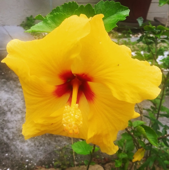 Profile Picture of Agena Fleischman (@agenab888) on Poshmark