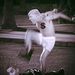 Profile Picture of Luke Lloyd (@killyourself006) on Pinterest