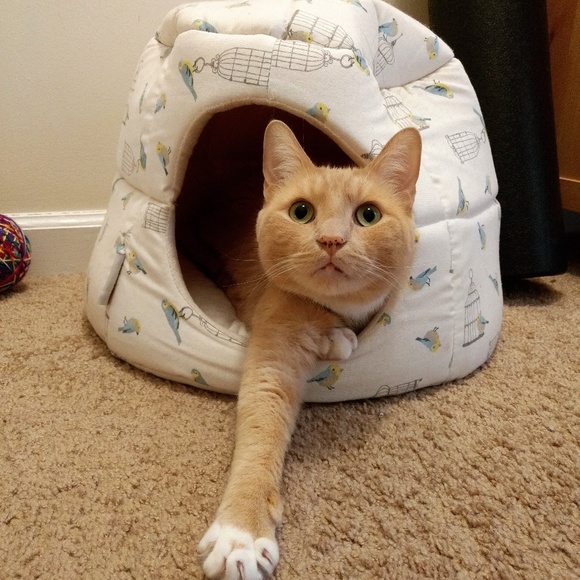 Profile Picture of Jess Everlith (@dseverlith) on Poshmark