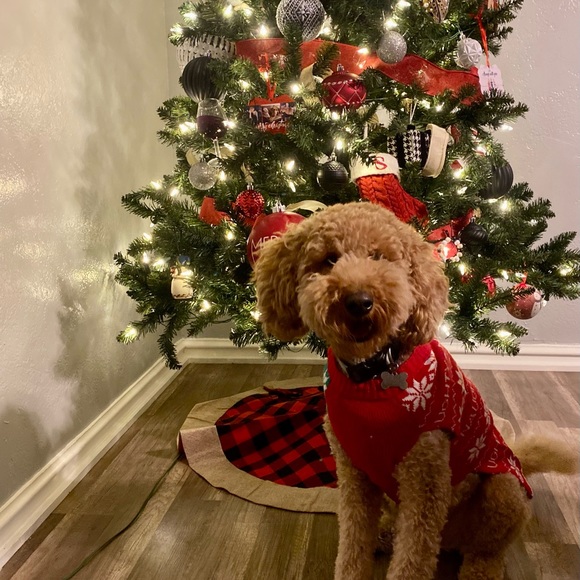 Profile Picture of Mark Speers (@speers_mark) on Poshmark