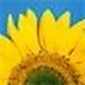 Profile Picture of David Pope (@goodpope) on Youtube