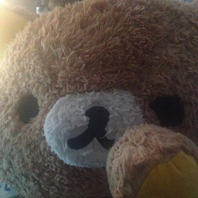 Profile Picture of Andy Yao (@AndyKira001) on Twitter