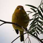 Profile Picture of Josiane Oliveira Da Silva (@oliveira.josi01) on Flickr