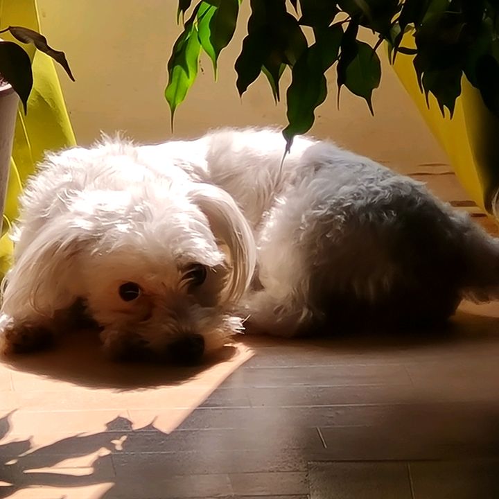 Profile Picture of Andrea (@andreabuzay) on Tiktok