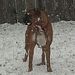 Profile Picture of Brad Freeland (@throwdown1981) on Pinterest