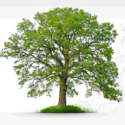 Profile Picture of Justin Regan (@justinregan9902) on Youtube