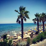 HAYDEN - Instagram Profile Picture of HAYDEN (@hayden_____flynn.7h) on Instagram