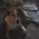 Profile Picture of Sharon Gibbons (@s.gibbons) on Instagram