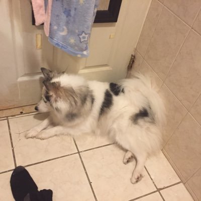 Profile Picture of Christopher Andino (@Christo88290946) on Twitter