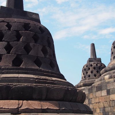 Profile Picture of Stephanie Lieggi (@@TulaneTeamShop) on Twitter