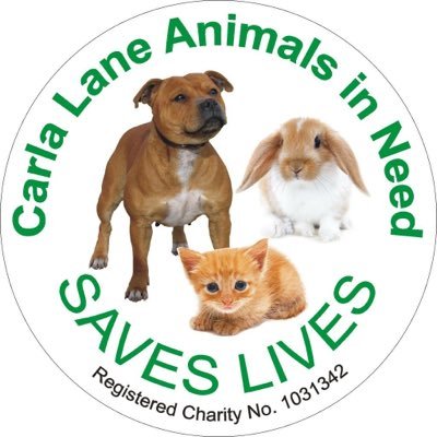 Profile Picture of Carla Lane Animals In Need (@InNeedAnimals) on Twitter