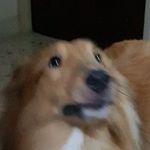 Profile Picture of Jeff (@_steven_jeff_) on Instagram