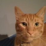 Scott Landon - Instagram Profile Picture of Scott Landon (@smedley123) on Instagram