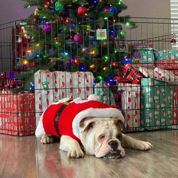 Profile Picture of Brian Root (@brian_root) on Poshmark