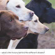 Profile Picture of James Holden (@jamesholden4883) on Youtube