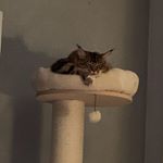 Profile Picture of Guy Couture (@guy.couture.73) on Instagram