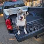 Profile Picture of Ernest Picken (@ernestpickens) on Instagram