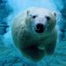 Profile Picture of Leo Jedrzejowski (@jedrzejowski) on Pinterest
