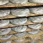 Profile Picture of Dann Bruneau (@Dann-Bruneau) on Facebook