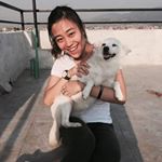 Profile Picture of Faith Cheng (@faith.cheng.9) on Instagram