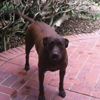 Profile Picture of C Alex Curry (@c-alex-curry) on Quora