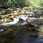 Profile Picture of Josh Shatley (@shatleyjosh) on Instagram