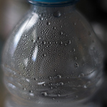 Profile Picture of Joshua Rogers (@_c0eus) on Flickr