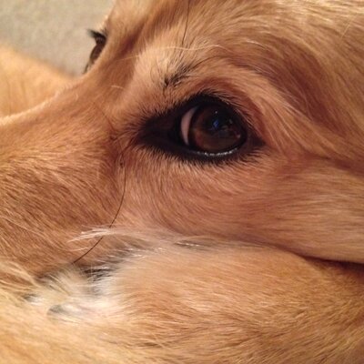 Jocelyn Matthews - Twitter Profile Picture of Jocelyn Matthews (@aphotoandastory) on Twitter