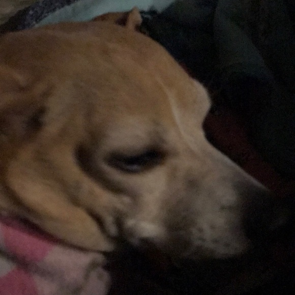 Profile Picture of Kathryn Hermans (@kathrynhermans) on Poshmark