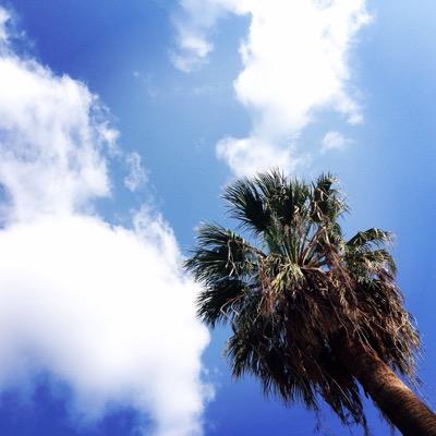 Profile Picture of WENJIE HUANG (@nichuang1023) on Twitter