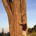Profile Picture of Joseph Mowrey (@josephmowrey) on Pinterest