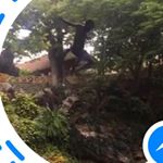 Profile Picture of Arturo Fagoaga Mayorga (@arturofm84) on Instagram