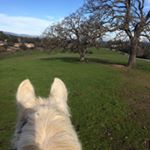 Profile Picture of Julie Desai (@juliehdesai) on Instagram