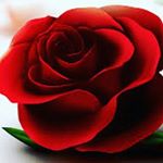 Profile Picture of Jessica Constancio (@jessicaalvarado357) on Instagram