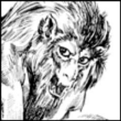 Profile Picture of Steve Zeeb (@SteveZeeb1) on Twitter