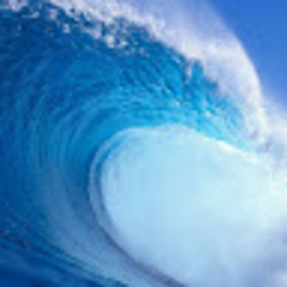 Profile Picture of Michael Petosa (@boosterboy2727) on Poshmark