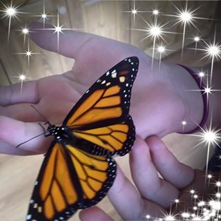 Profile Picture of Ruth Ann Fondaw Andres (Ruth Ann Fondaw Andres) (@ruthann.andres) on Facebook