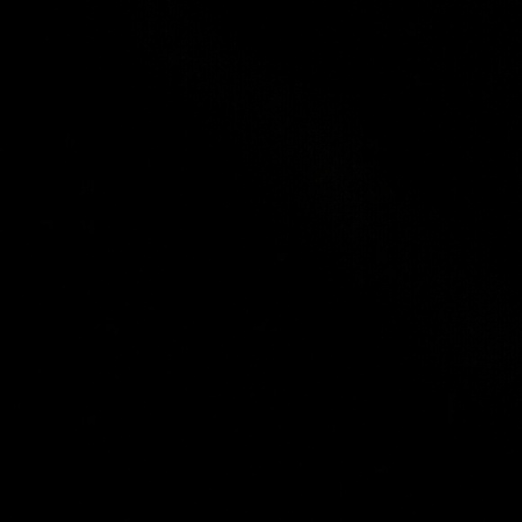 Profile Picture of Willow Stempin (@willowstempin) on Poshmark