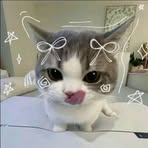 Profile Picture of Bryan Reyes (@Bryan-Reyes) on Facebook