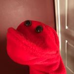 Profile Picture of David Red (@the_david_red) on Tiktok