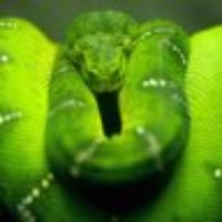 Profile Picture of Peter Manda (@peter-manda) on Quora