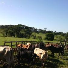 Profile Picture of Wilbert Hernandez (@wilbehernan) on Twitter