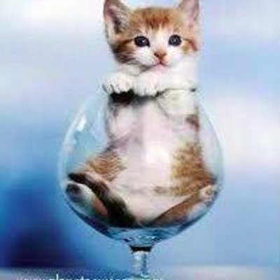 Profile Picture of Isabel Hernandez (@isabelch614) on Twitter