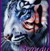 Profile Picture of Brandy Cavitt (@brandy.cavitt.3) on Facebook
